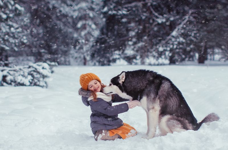 Дружбаphoto preview