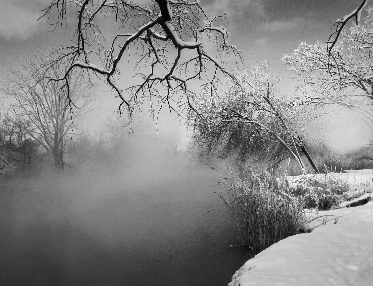 , Алексей Рыльский