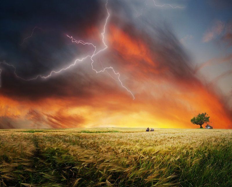 killer on the roadphoto preview