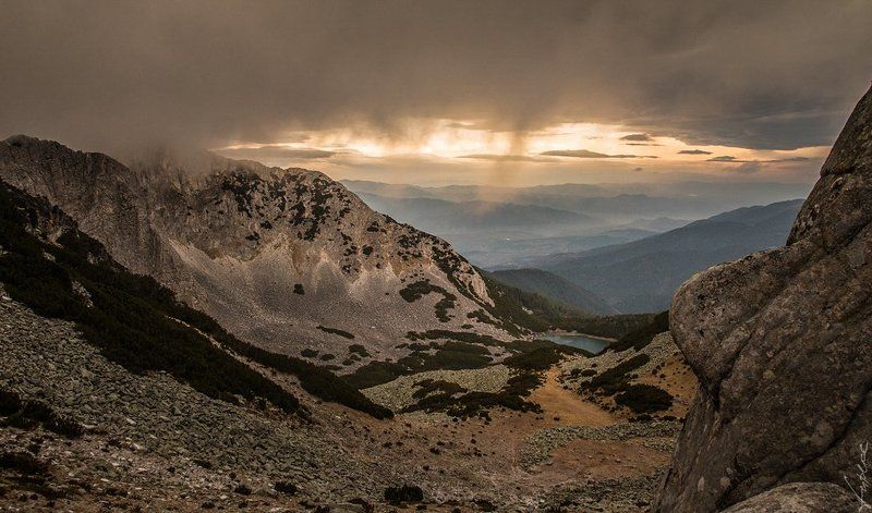 Синаницаphoto preview