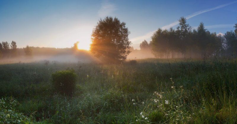 туман,рассвет,утро На рассвете...photo preview