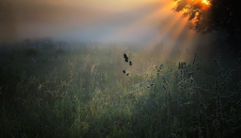 утро,туман,рассвет Пробуждение...photo preview