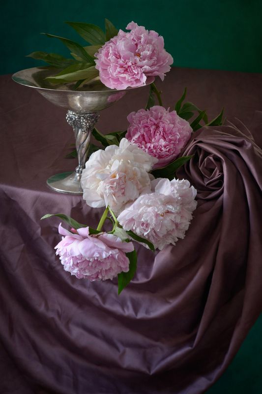 Классический, цветочный, натюрморт, пышный, букет, пион, оттенки, розовый, цвет, старинный, металлический, ваза, свернутый,  драпировка, естественный, освещение, начало лета Розовые пионы на драпировкеphoto preview