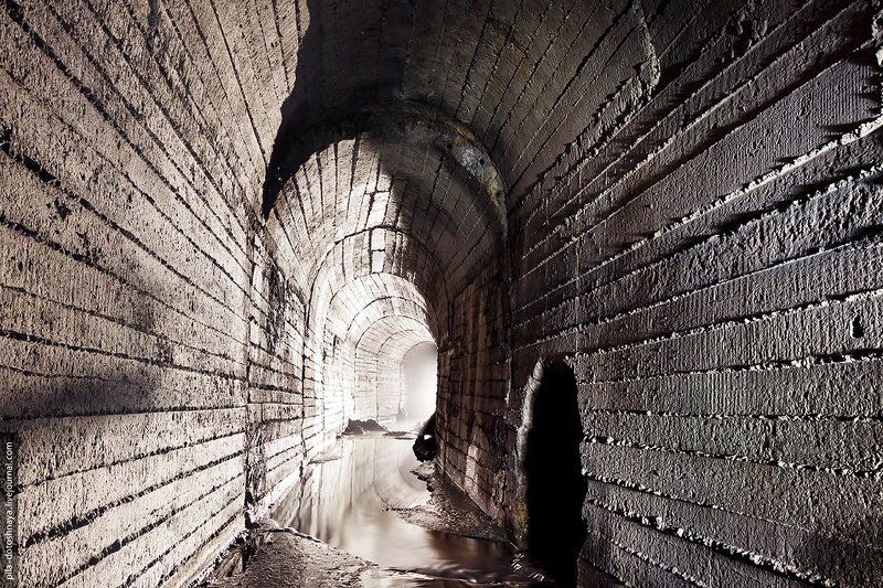 Неглиннаяphoto preview