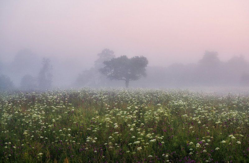 Дачные зарисовки. Сезон 2016.photo preview