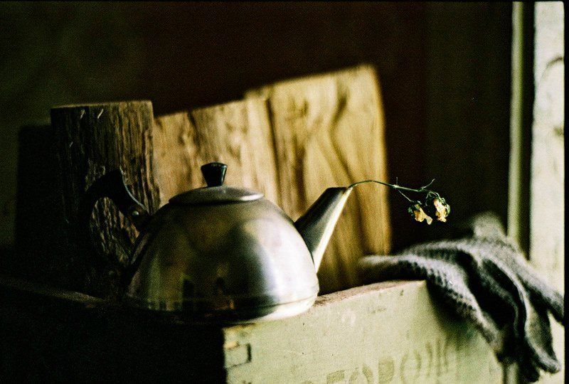 nikon, f80, film Цветочный чайphoto preview