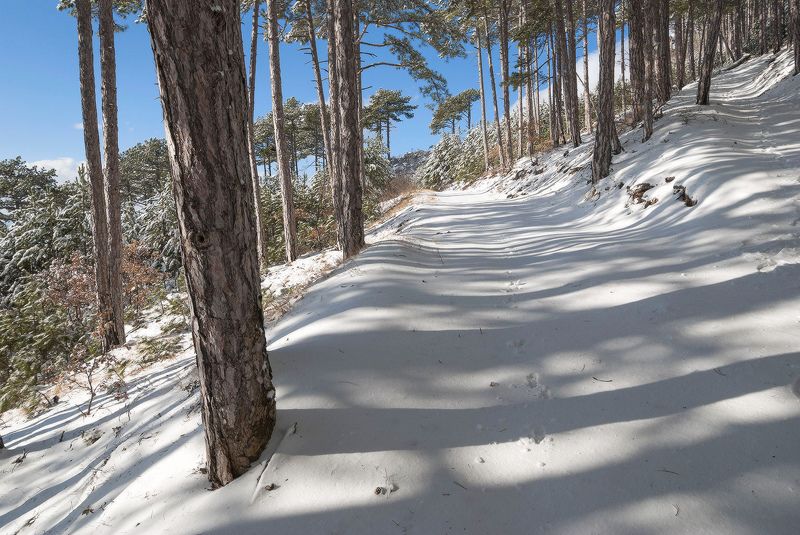 Зимние тени....photo preview