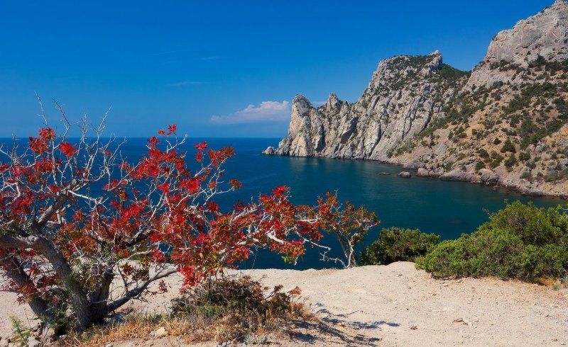 крым,новый свет Караул-оба и фисташка..photo preview