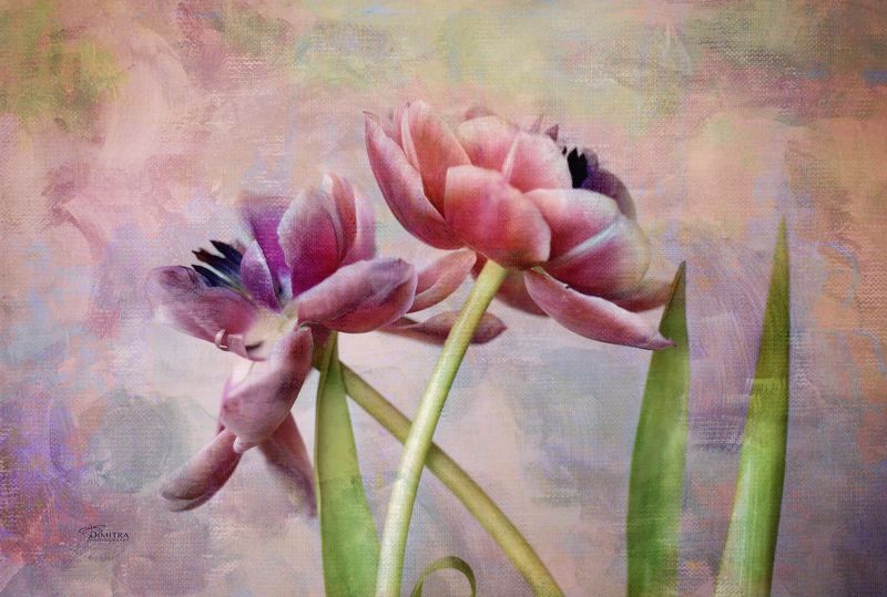 Two hearts photo preview