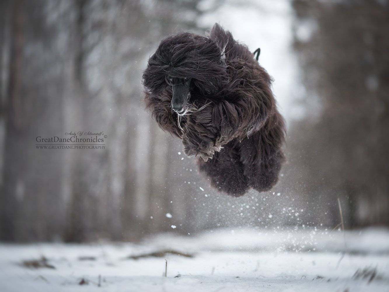 В полете. Автор: Андрей Селиверстов афган, Андрей Селиверстов