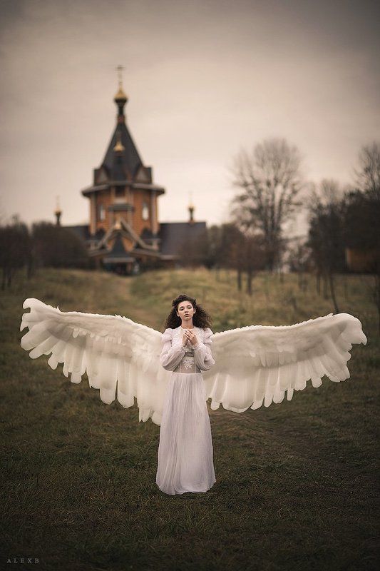 Разнообразные фотоphoto preview