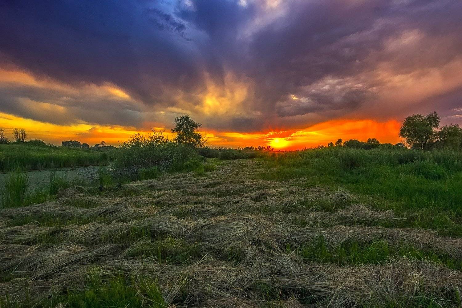 Тёплый летний вечер . Автор: Павел Сагайдак Закат,Россия,природа,пейзаж, Павел Сагайдак