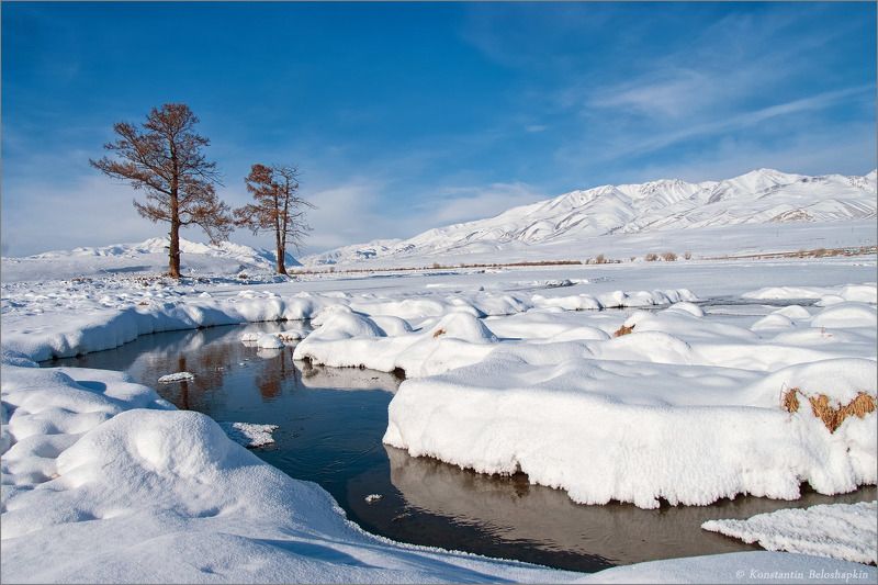 алтай, горы, курайский хребет, снег, чуйская степь, январь, ёкитыт Зимний Алтайphoto preview