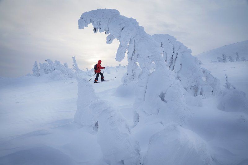 ГУХ, Главный Уральский Хребет, Северный Урал, Урал, Россия, Уральские горы, лыжник, поход, зимний поход В царстве снежных монстровphoto preview