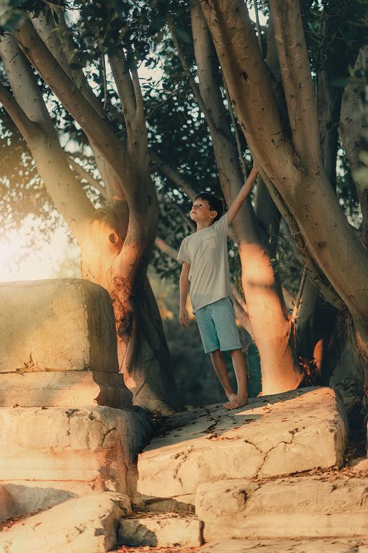 ребенок, мальчик, свет, закат, улица, дерево, корни, мечты, лето, отпуск ***photo preview