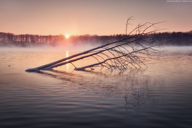 шатура Шатурские зориphoto preview