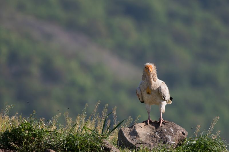 Я вижу тебяphoto preview