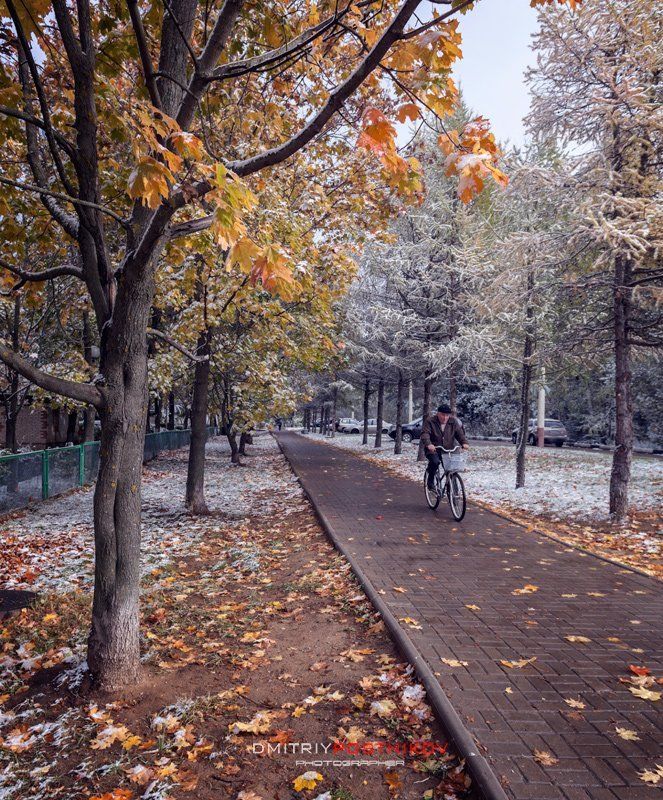 Дубна, Октябрь, Осень, Пейзаж, Природа, Снег Когда выпал первый снег.photo preview