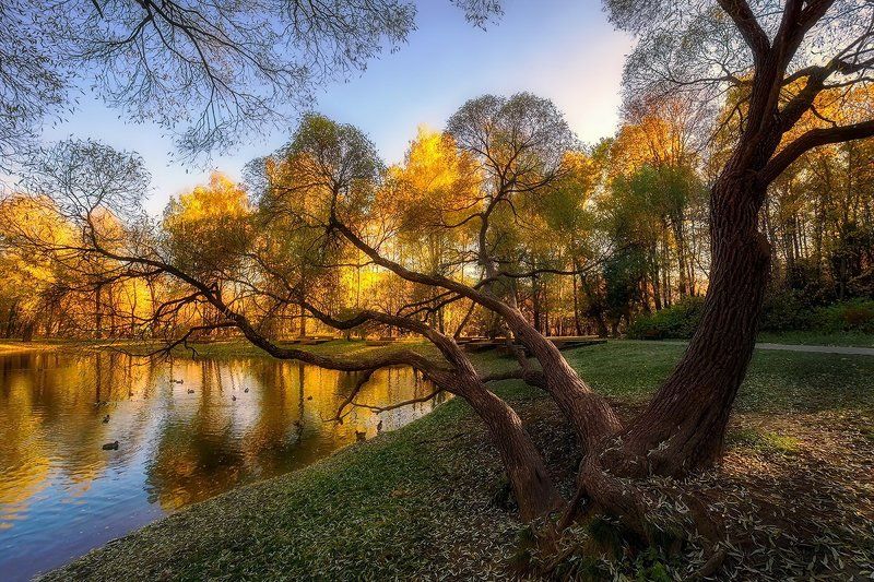 В золоте осени...photo preview