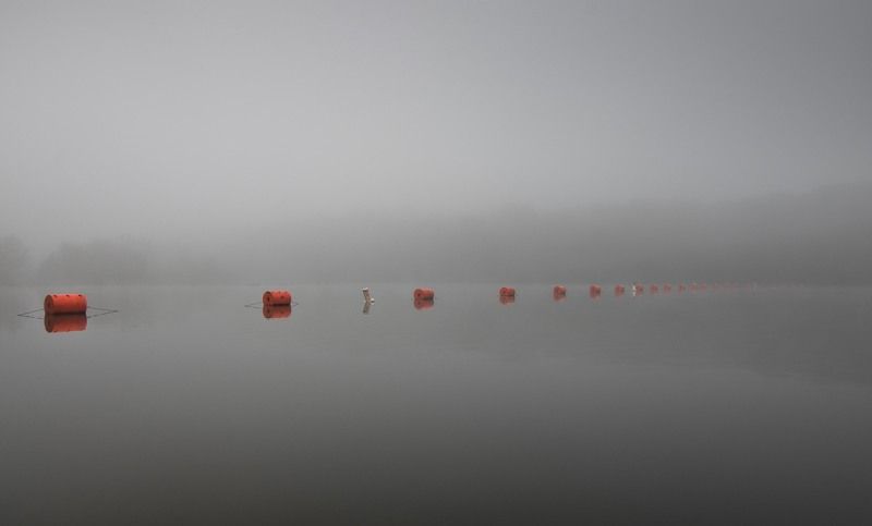 Красная нитьphoto preview