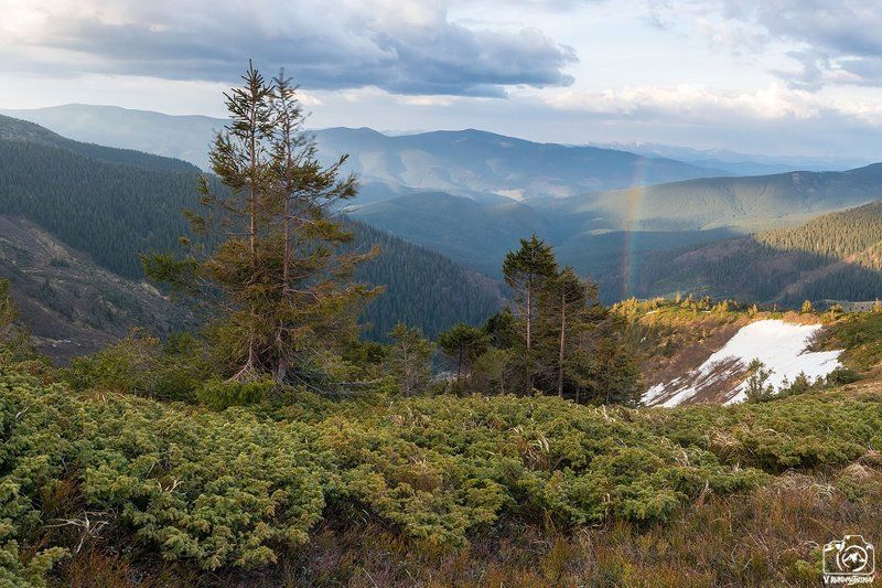 украина, карпаты, свидовец, горы, радуга, весна, закат, панорама Карпаты, весна, май 2016photo preview