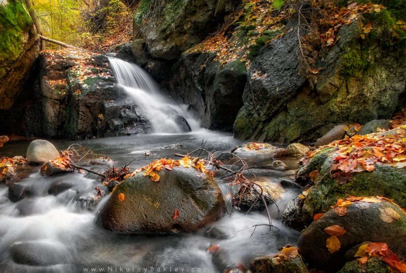 autumn, river, park, Rhodope, Balkan, Bulgaria, Landscape, Nature, October, Travel, Autumn riverphoto preview