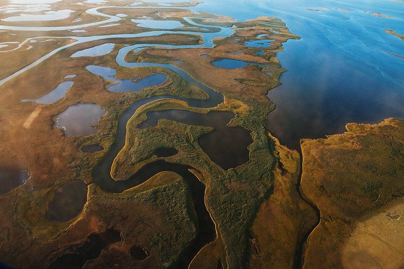 Орел в тундреphoto preview