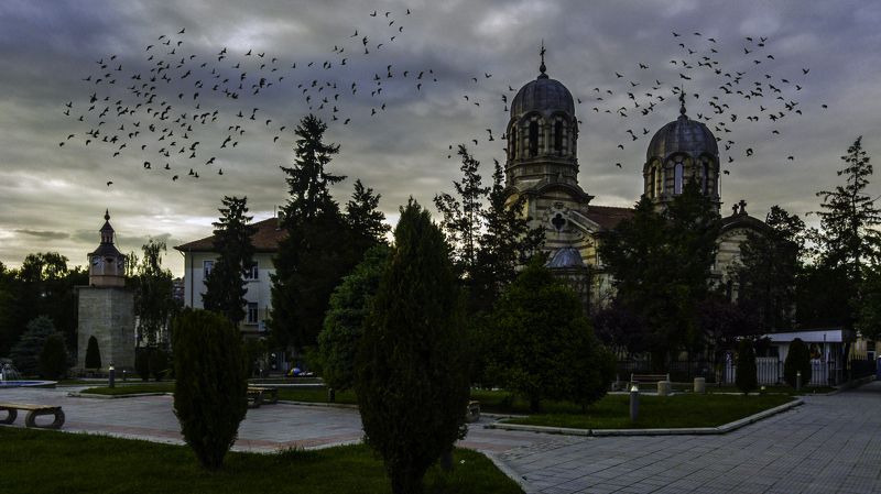 ceclii, lgg4 photo preview