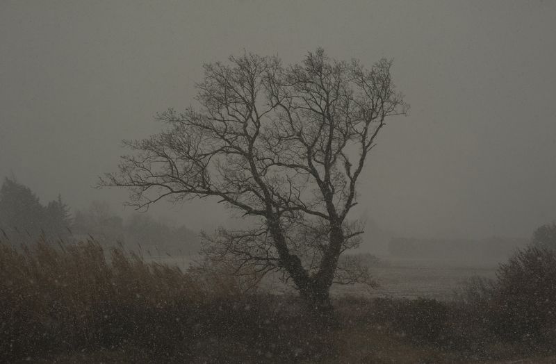 Un Voyage d\'hiver фото превью