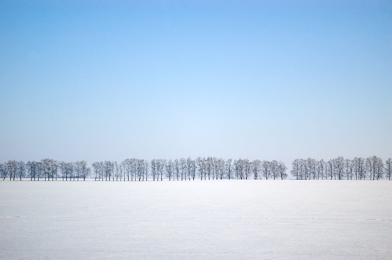 Treeslinephoto preview