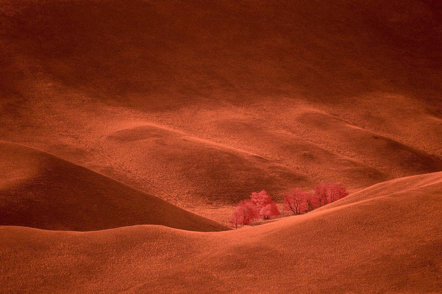 ir,infrared,velvet,hills,landscape, пейзаж,холмы,фильтр,инфракрасный,, Олег Грачёв