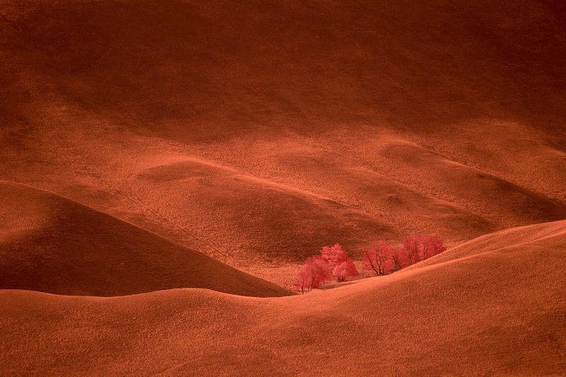 ir,infrared,velvet,hills,landscape, пейзаж,холмы,фильтр,инфракрасный, Бархатные холмы.photo preview