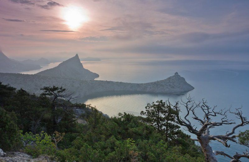 крым,новый свет Утро в Крымуphoto preview