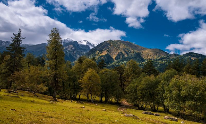 Архызские полянкиphoto preview