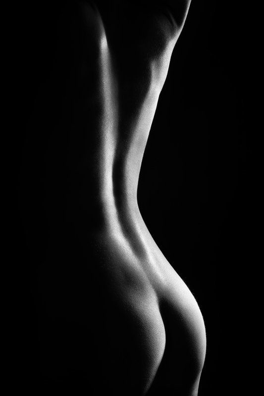 Линииphoto preview