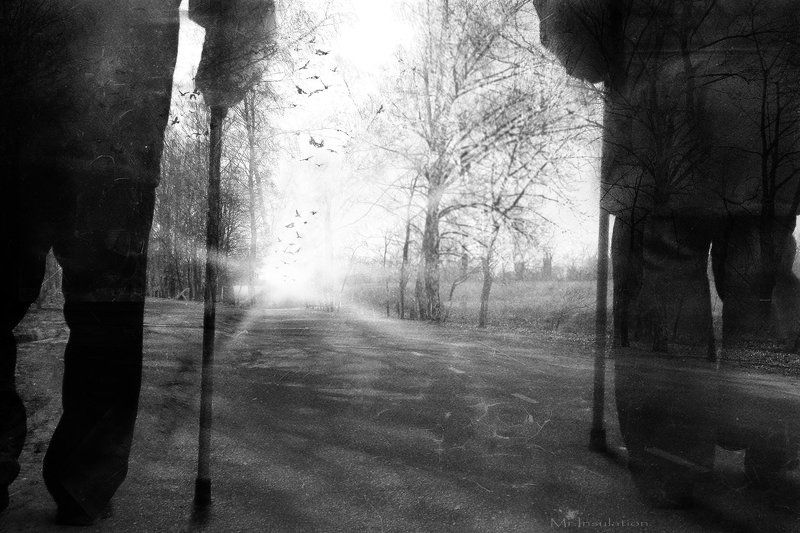 Countdownphoto preview