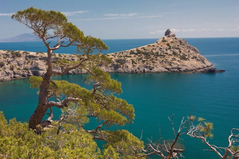 крым,новый свет мыс Капчикphoto preview