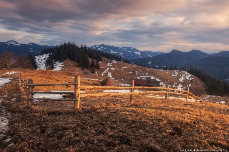 карпаты, украина, зима, пейзаж, снег, карпатский, гора, красивый, небо, природа, дерево, холод, мороз, путешествия, белый, сезон, ель, лес, фон, снежный, горы, зимний, утро, отдых, солнце, лед, изморозь, иней, сцена, синий, свет, замороженный Карпаты. Дземброня. Зимний вечер у полонины Степанскийphoto preview