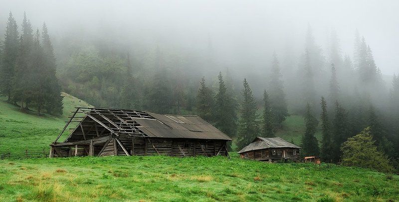 Карпаты ранним утромphoto preview