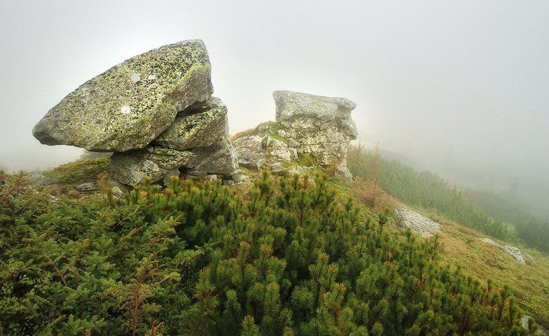 Карпаты в маеphoto preview