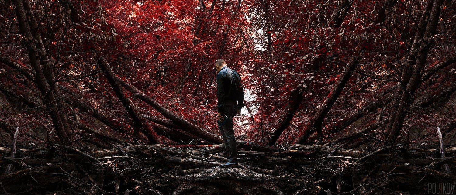 Alone. Автор: Поляков Вадим Александрович , Поляков Вадим Александрович