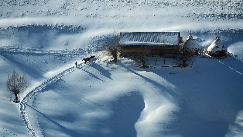 *** фото превью