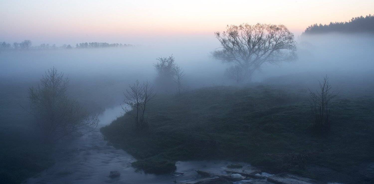 , Сергей Добровольский