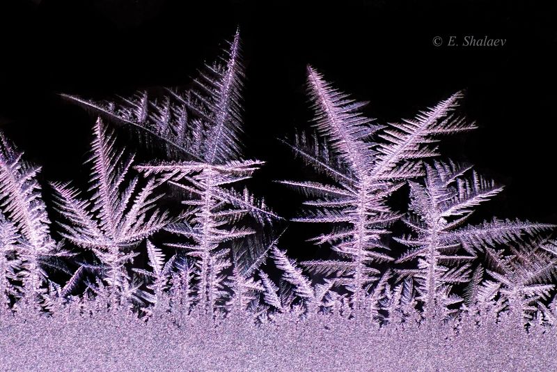 морозные узоры photo preview