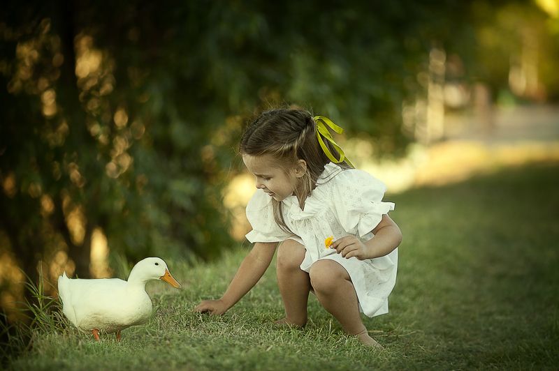 гусь, девочка, лето, свет, солнце знакомствоphoto preview
