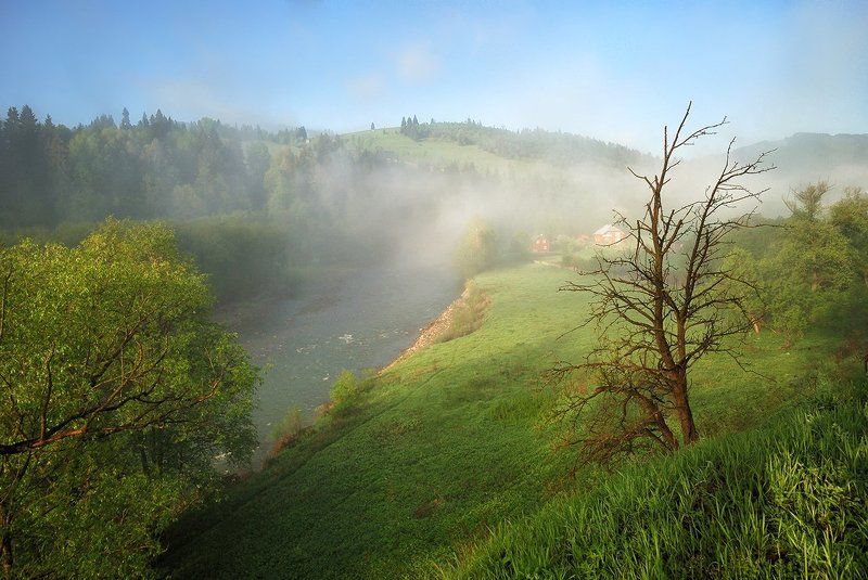 карпаты, камни, река, d80 Утренний туман над Белым Черемошемphoto preview