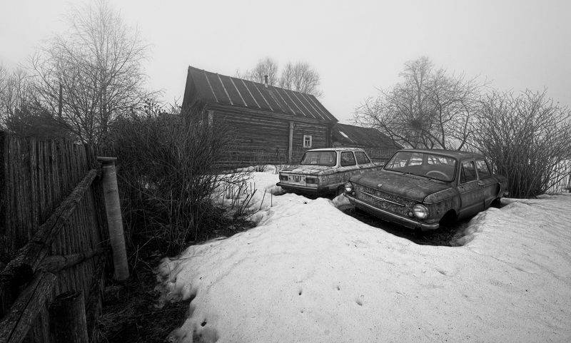 Подснежники..photo preview