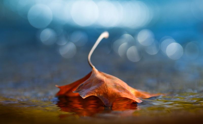 Речные отраженияphoto preview