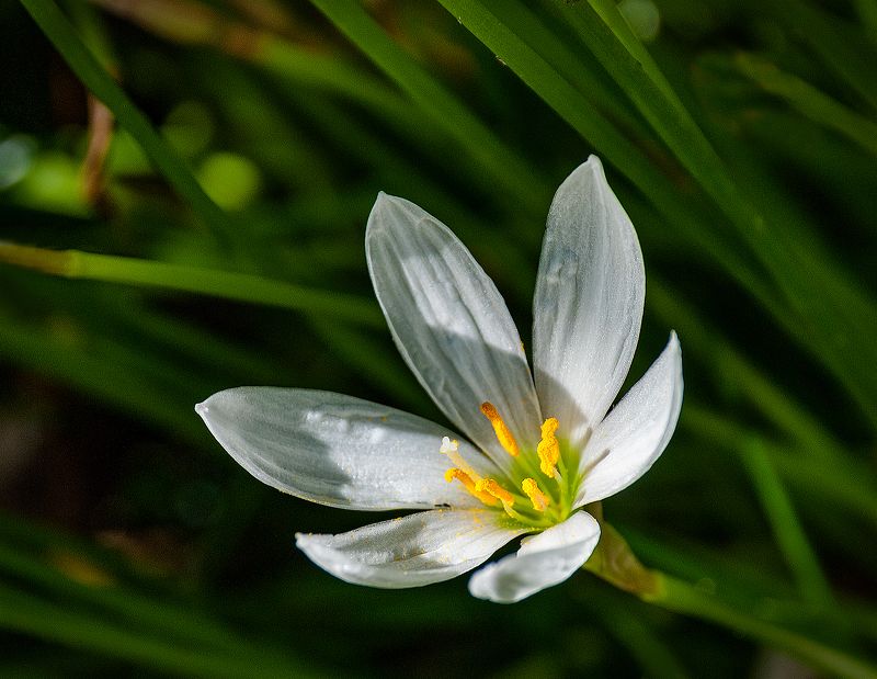 Выскочкаphoto preview