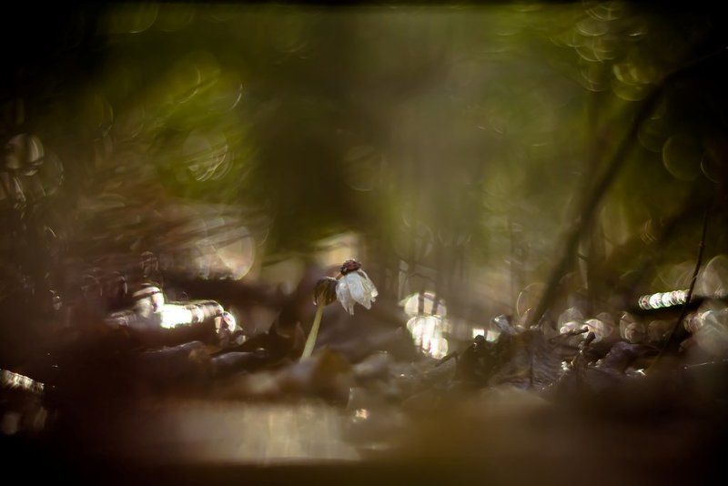 Сказки про весну-2photo preview